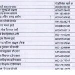 aditi tatkare ladaki bahin yojana 2025